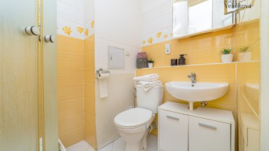 Prodej pěkného bytu 1+kk v Hradci Králové v Severní ulici