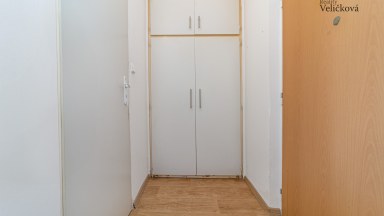 Prodej pěkného bytu 1+kk v Hradci Králové v Severní ulici