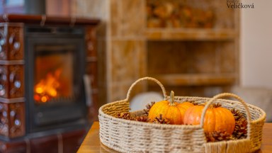 Prodej útulného rodinného domu 93 m2 k trvalému bydlení i rekreaci, s pozemkem 386 m2, Stará Skřeněř