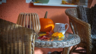 Prodej útulného rodinného domu s okrasnou zahradou a stavební parcelou 