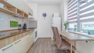 Nabízíme k prodeji zrekonstruovaný byt 2+1 na Zeleném Předměstí v Pardubicích