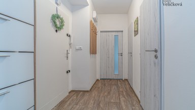 Nabízíme k prodeji zrekonstruovaný byt 2+1 na Zeleném Předměstí v Pardubicích