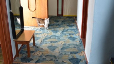 Prodej prostorného domu 5+1 v klidném místě poblíž centra Hradce Králové